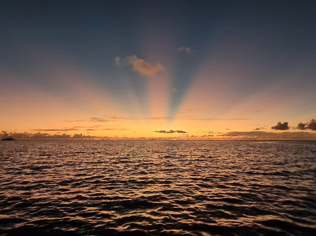 Seginy Seaview主图