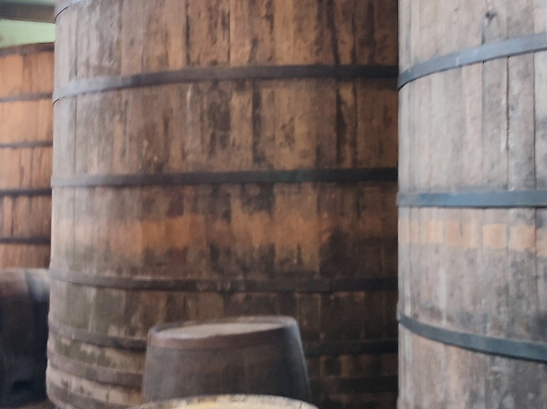 Destilaria Monte Verde-蒙特贝尔德必去景点