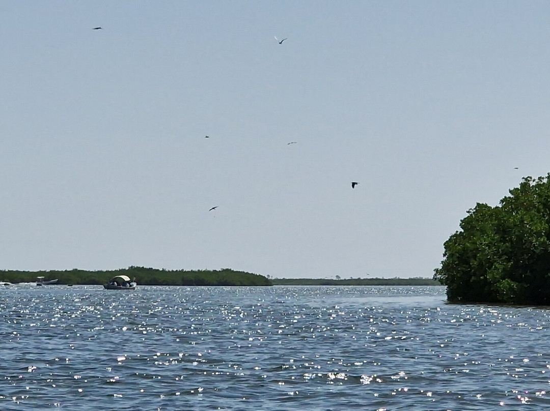 Parc National du Delta du Saloum景点图片