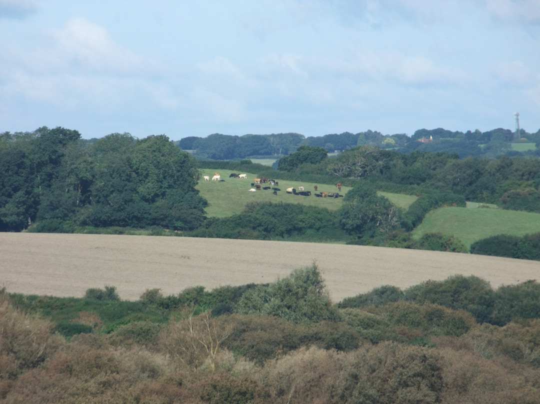 Combe Valley Countryside Park景点图片