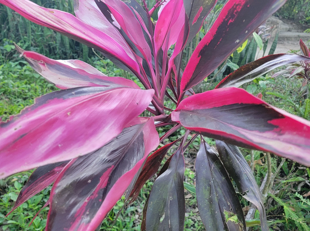 Rancho Primavera主图