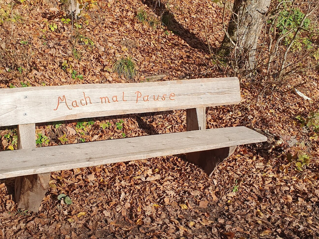 Siebenmühlental-Waldenbuch必去景点