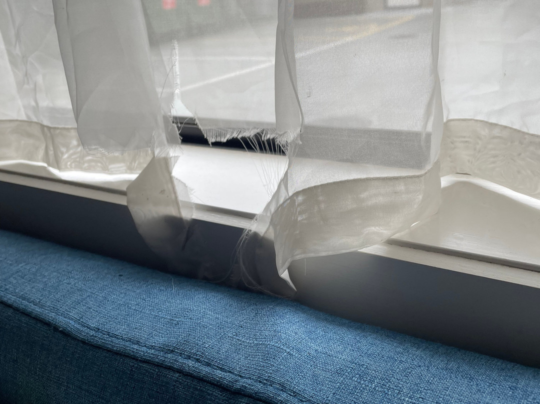 Brooklyn Motor Lodge主图