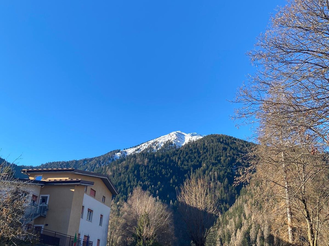 Hotel du Parc