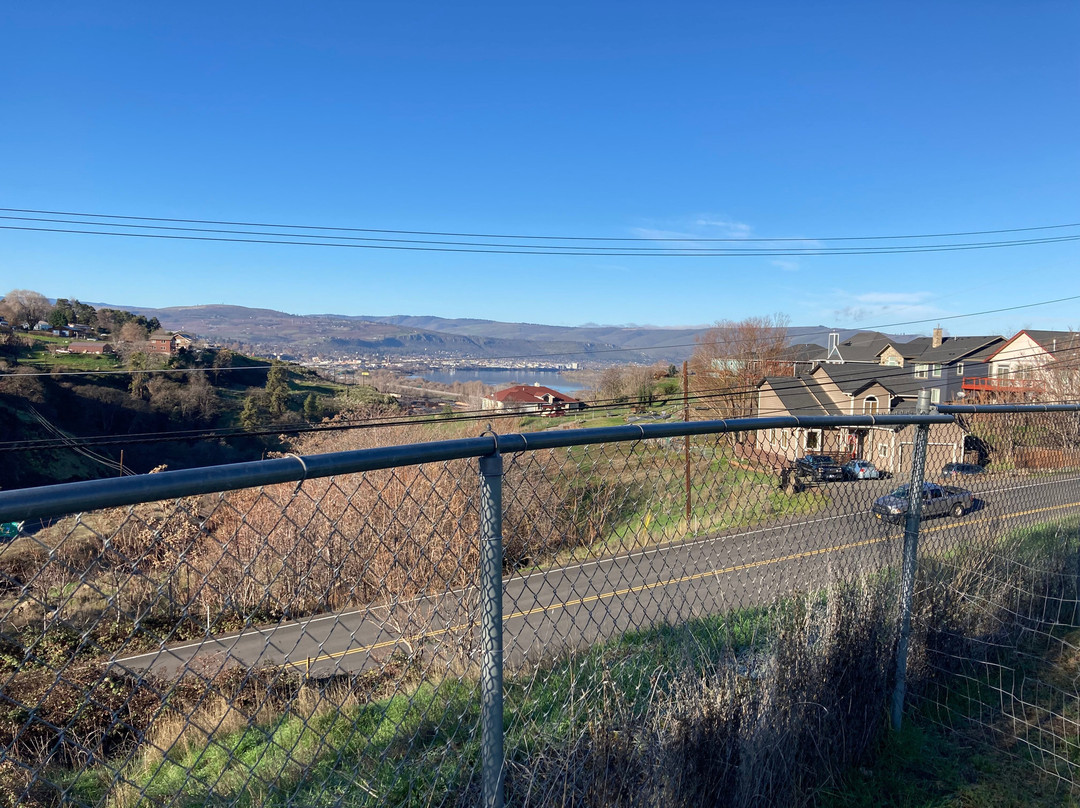 The Dog Park-格尔夫海岸必去景点