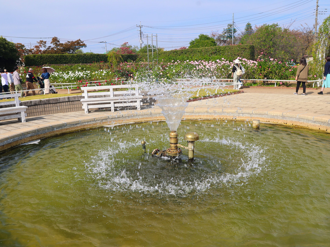 Ina Choseishiko Memorial Park-伊奈町必去景点