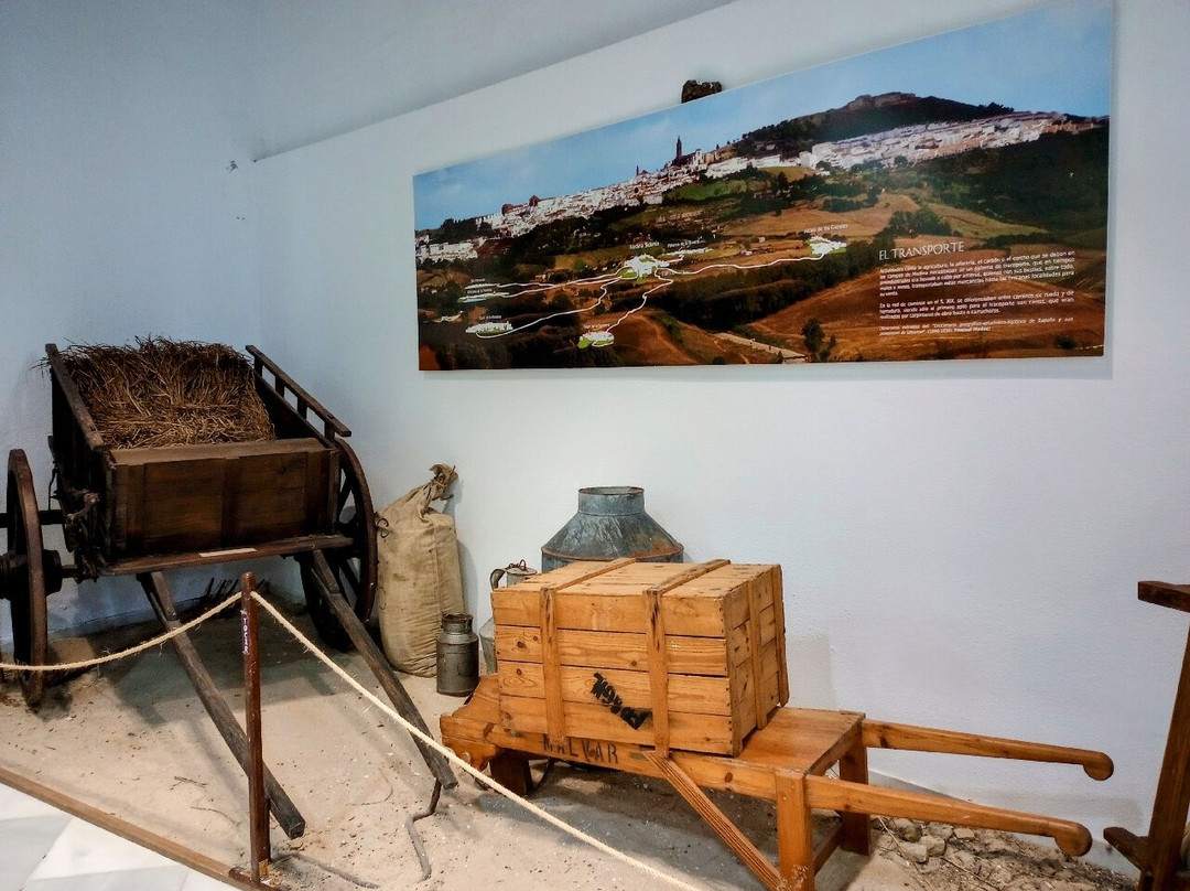 Museo Etnográfico de Medina Sidonia景点图片