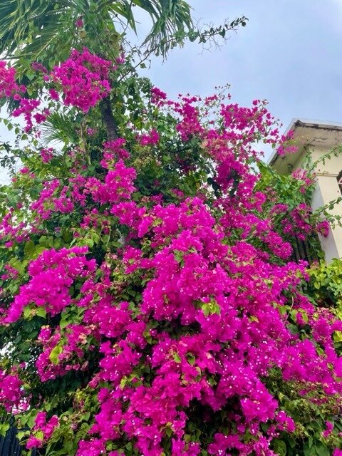 Casa La Lanchita-官方