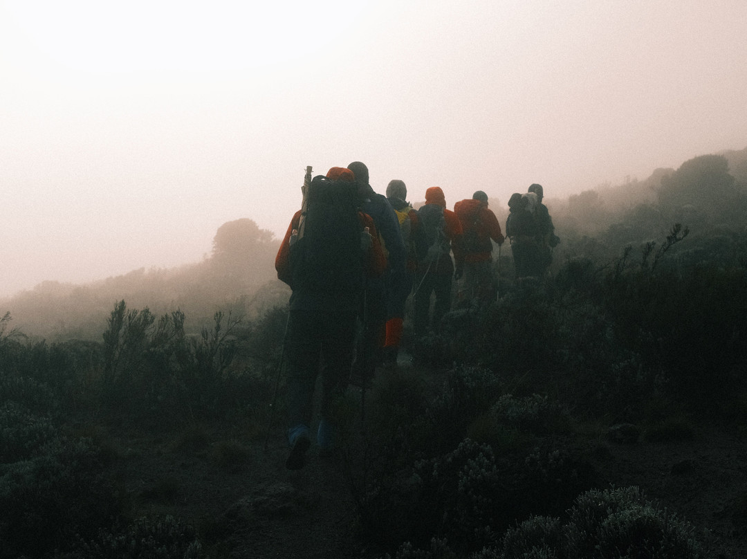 Climbing Kilimanjaro景点图片