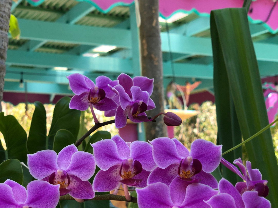 4 Elements Culinary & Wellness Center-Water Island必去景点