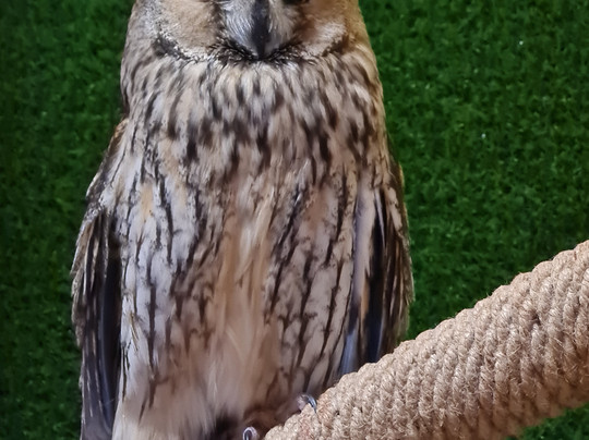 Soviny Dom  Anticafe-莫斯科必去景点