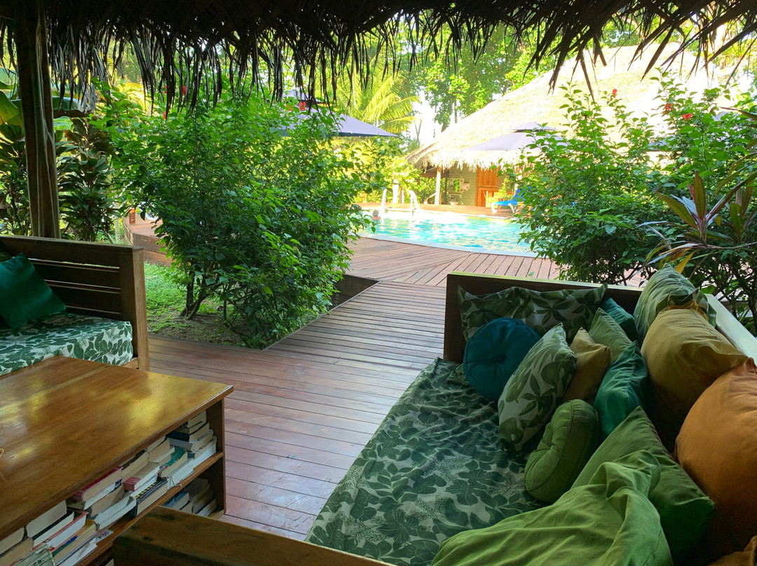 The Hummingbird主图