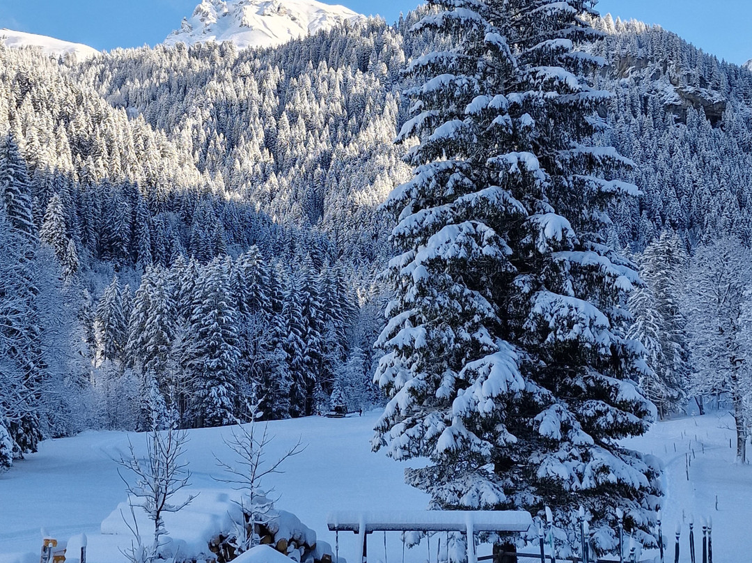 Simmenfälle-Lenk im Simmental必去景点