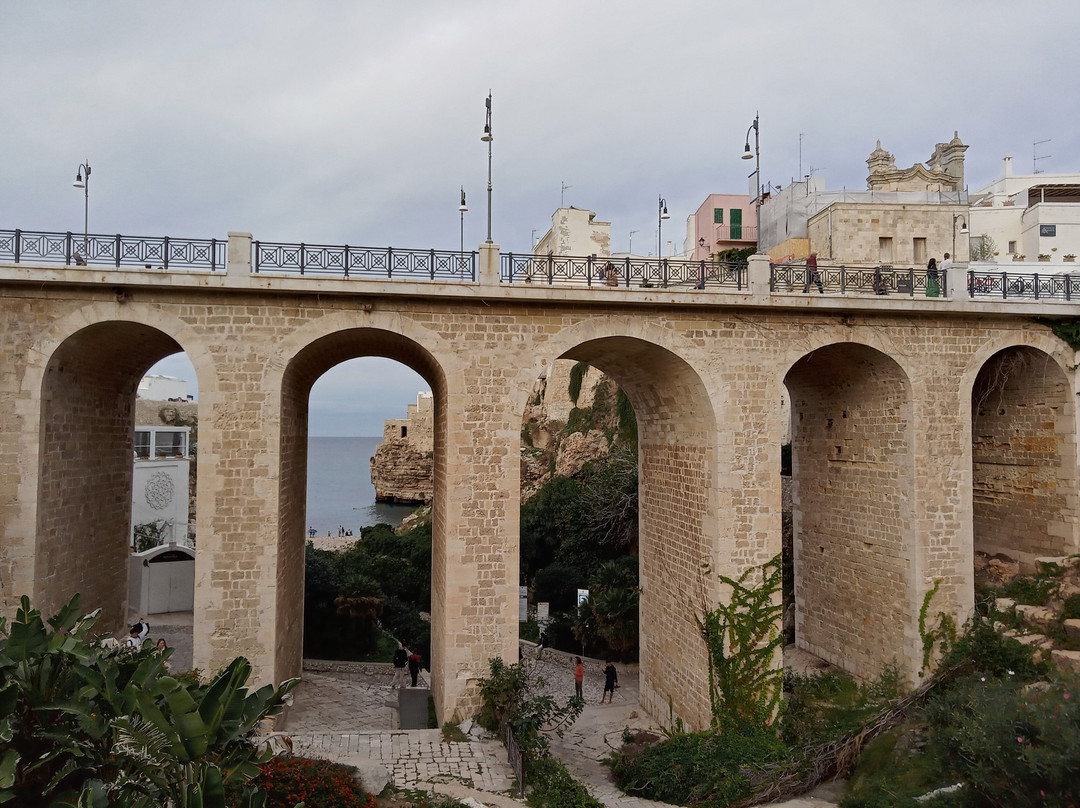 Ponte Borbonico di Lama Monachile景点图片