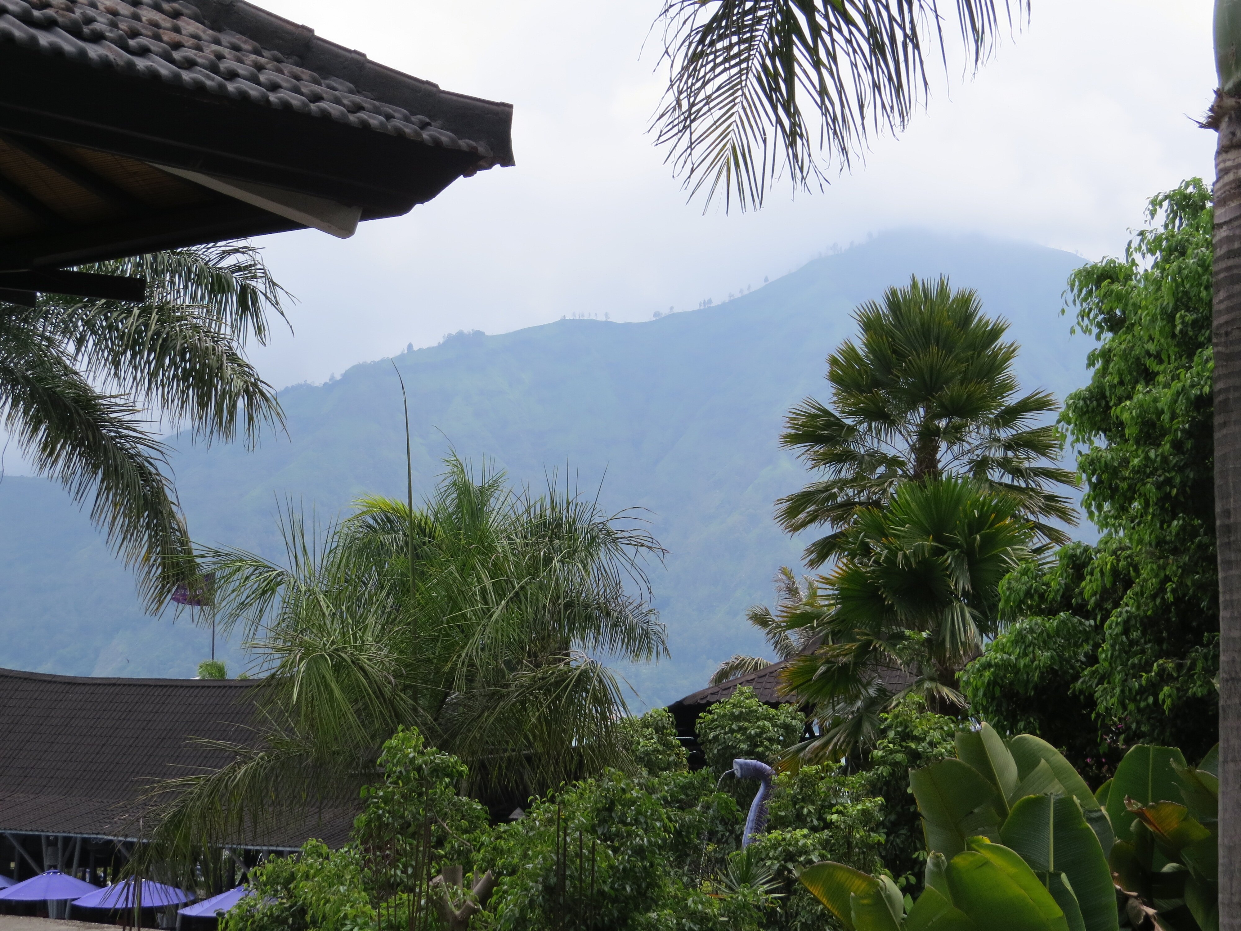 The Ayu Kintamani Villas-酒店景观