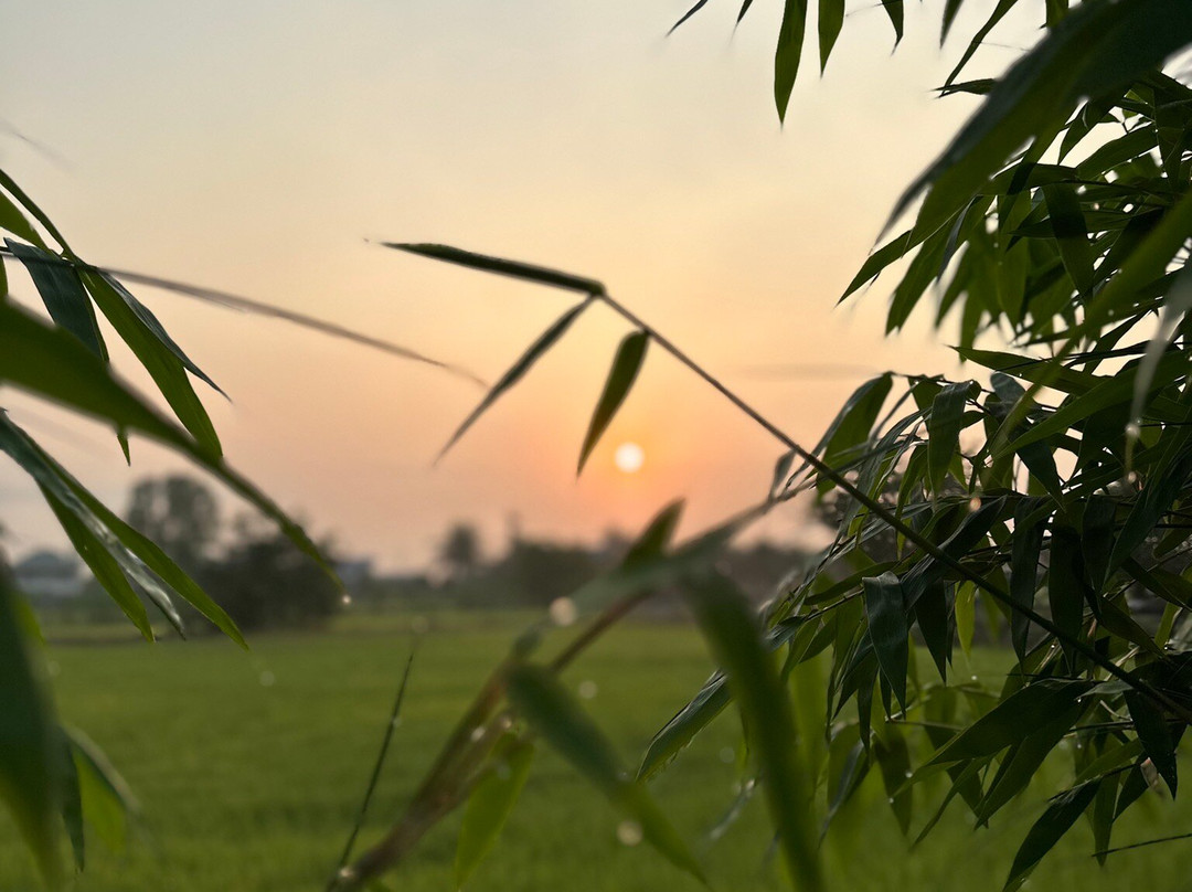 THANN健康目的地主图