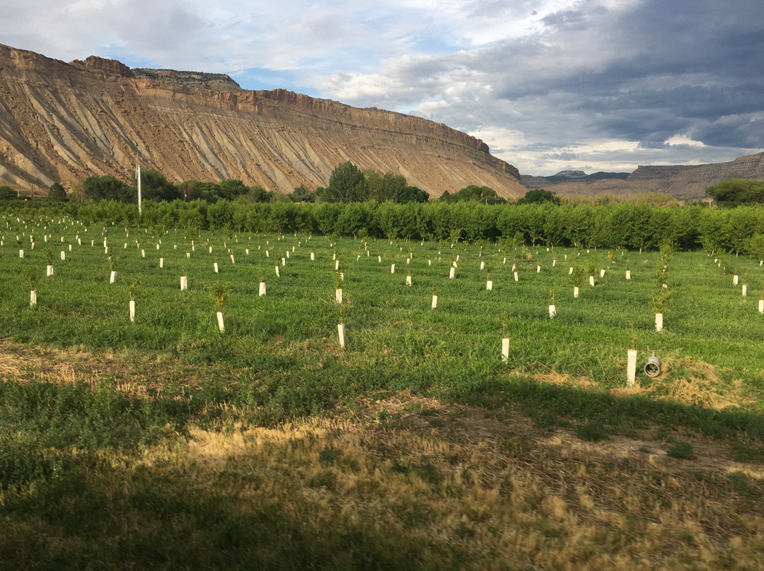 Vistas And Vineyards B&b主图