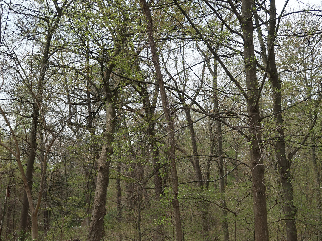 The Neighborhood Hotel Grand Beach主图