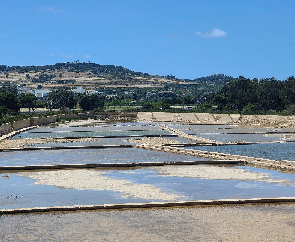 Salina Nature Reserve-Naxxar必去景点