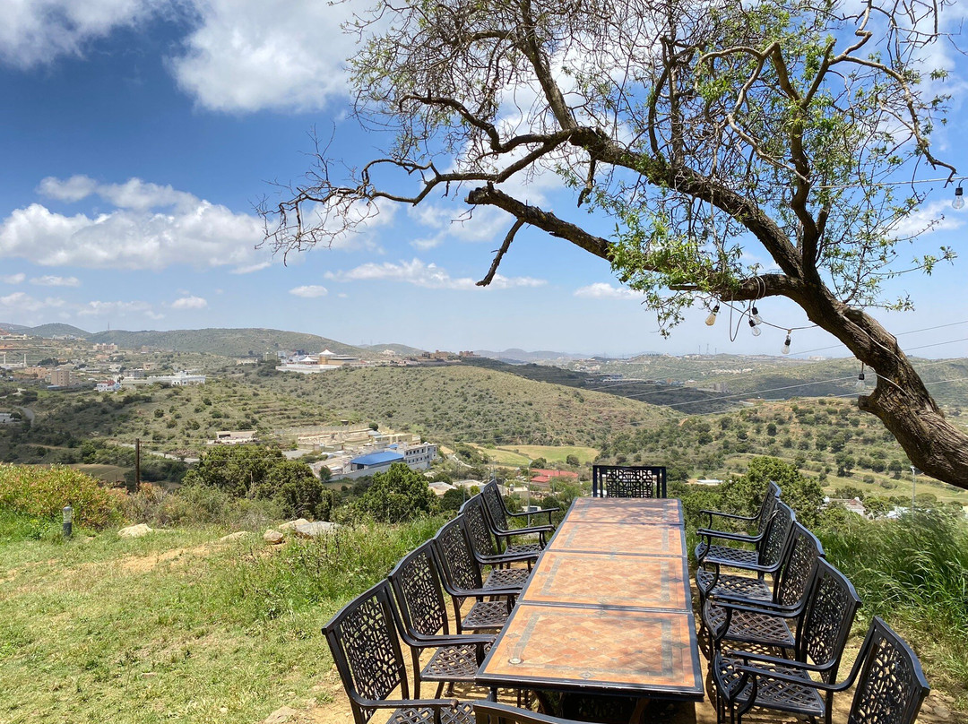 High City-Abha必去景点