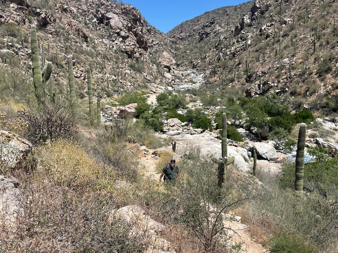 Tanque Verde Falls-图森必去景点