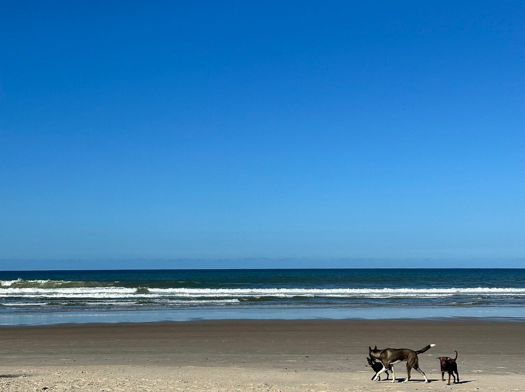 Sargi Beach-Serra Grande必去景点