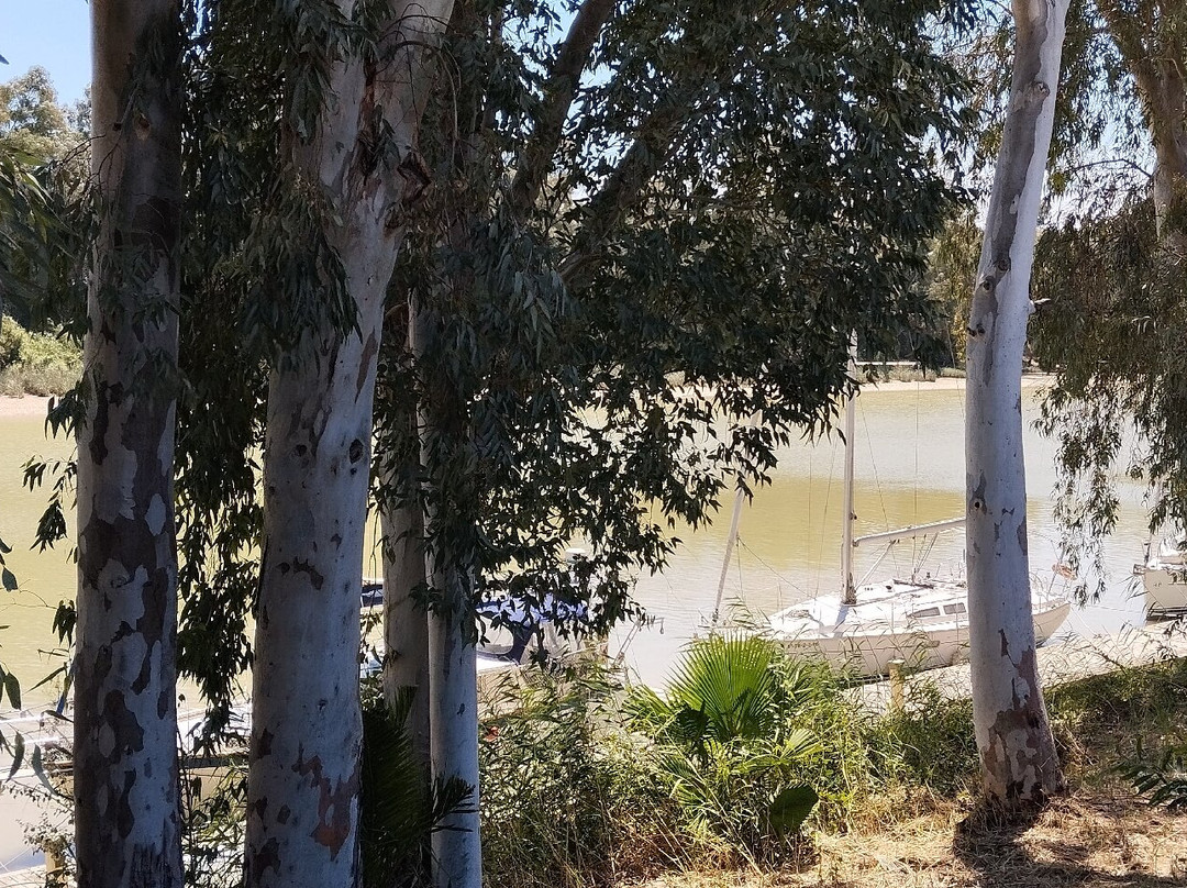 Puerto Gelves-Gelves必去景点