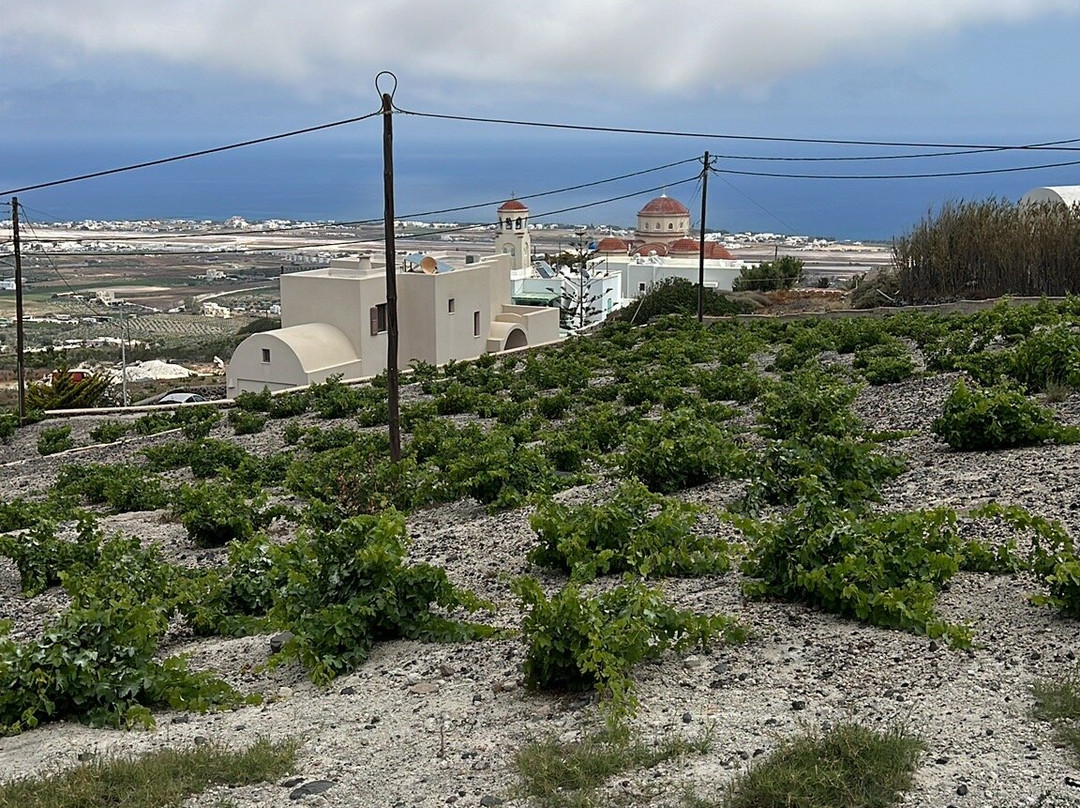 Serapias Suites主图