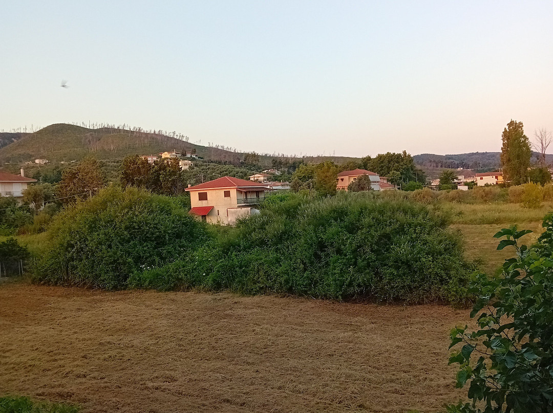 Maria - Louiza主图