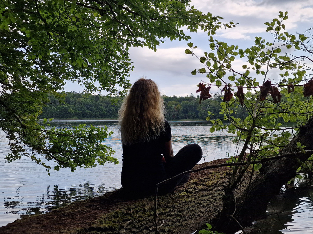 Czajcze Lake -  In Wolin National Park景点图片