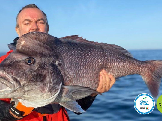 Go Fishing Portugal - Sesimbra-塞新布拉必去景点