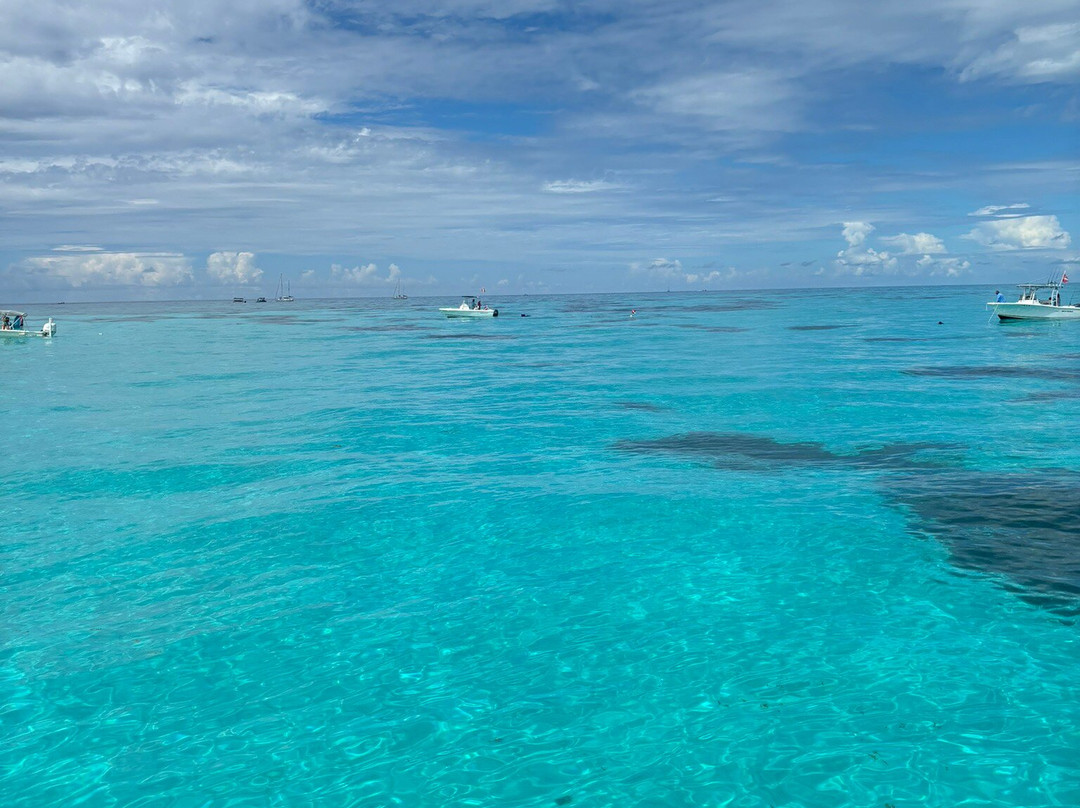 A1A Watersports & Boat Rentals-伊斯拉摩拉达必去景点