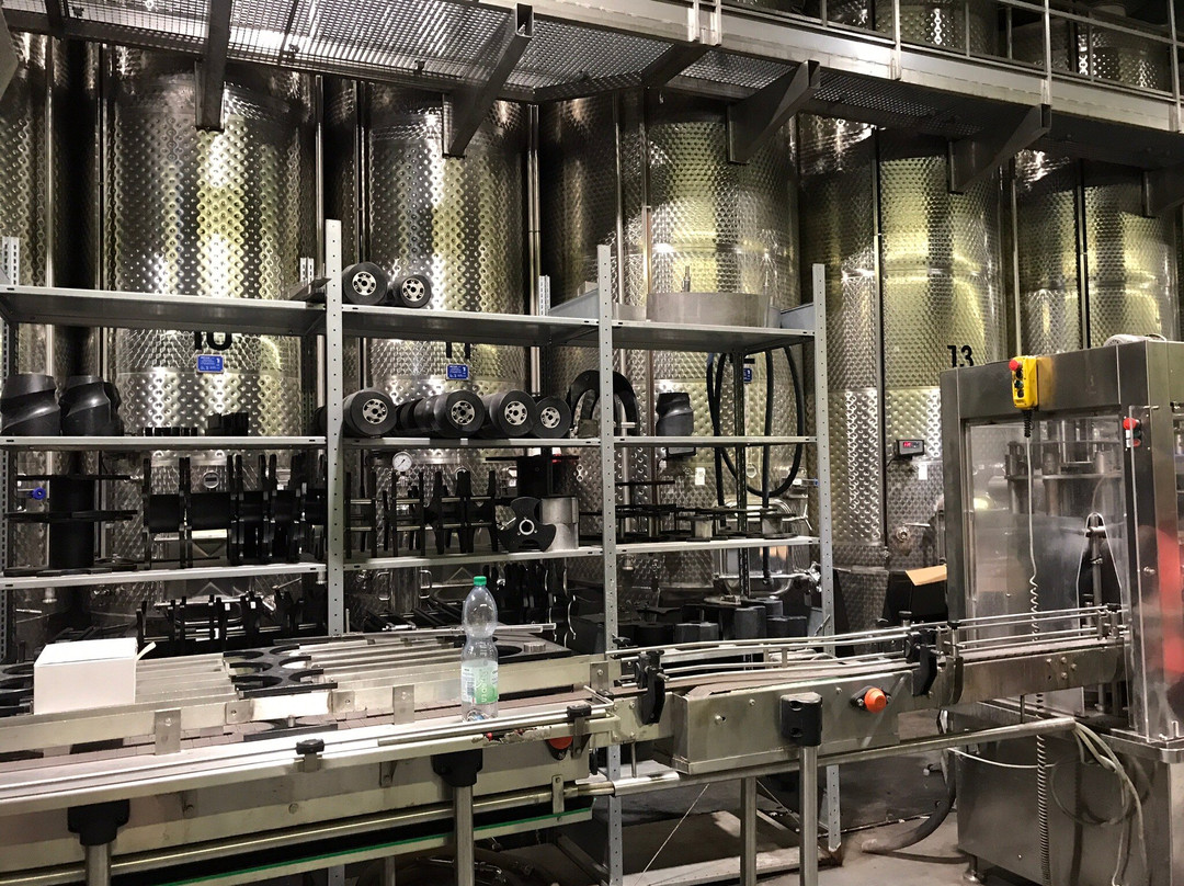 Weingut Scheiblhofer景点图片