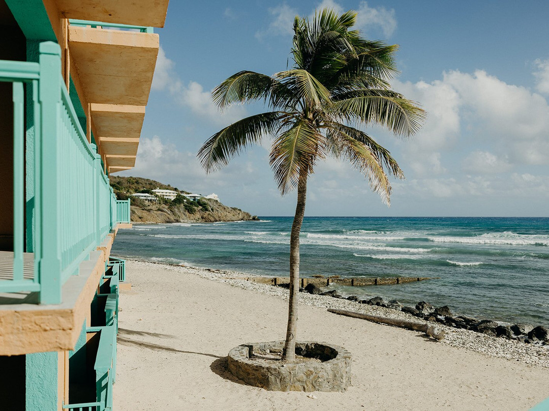 Grapetree Bay Hotel主图