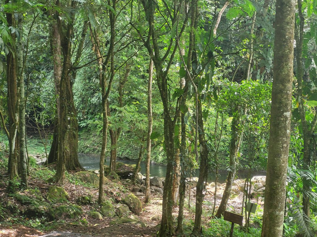 Figues Farm & Cataratas los Montes景点图片