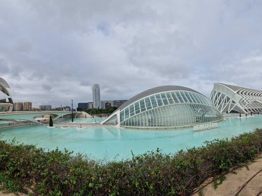 Beach Bikes Valencia景点图片