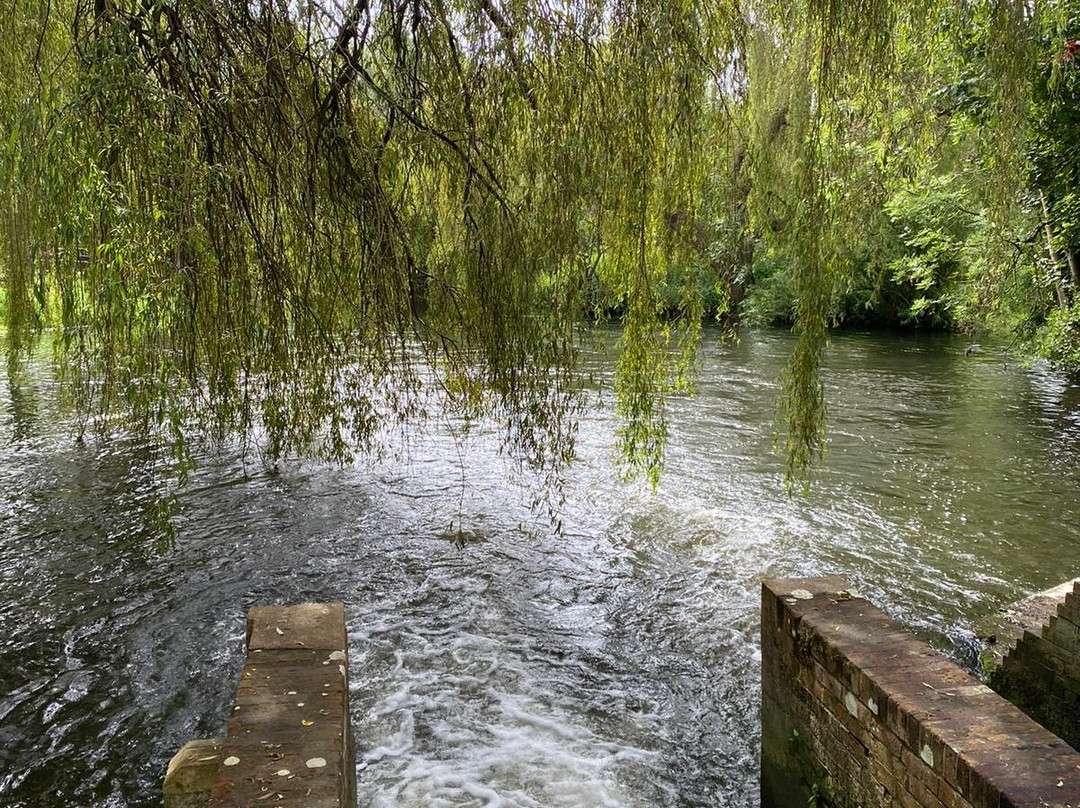 Taverham Mill Nature Reserve and Fishery景点图片