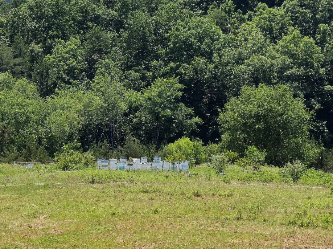 Thistlerock Mead Company-夏洛茨维尔必去景点