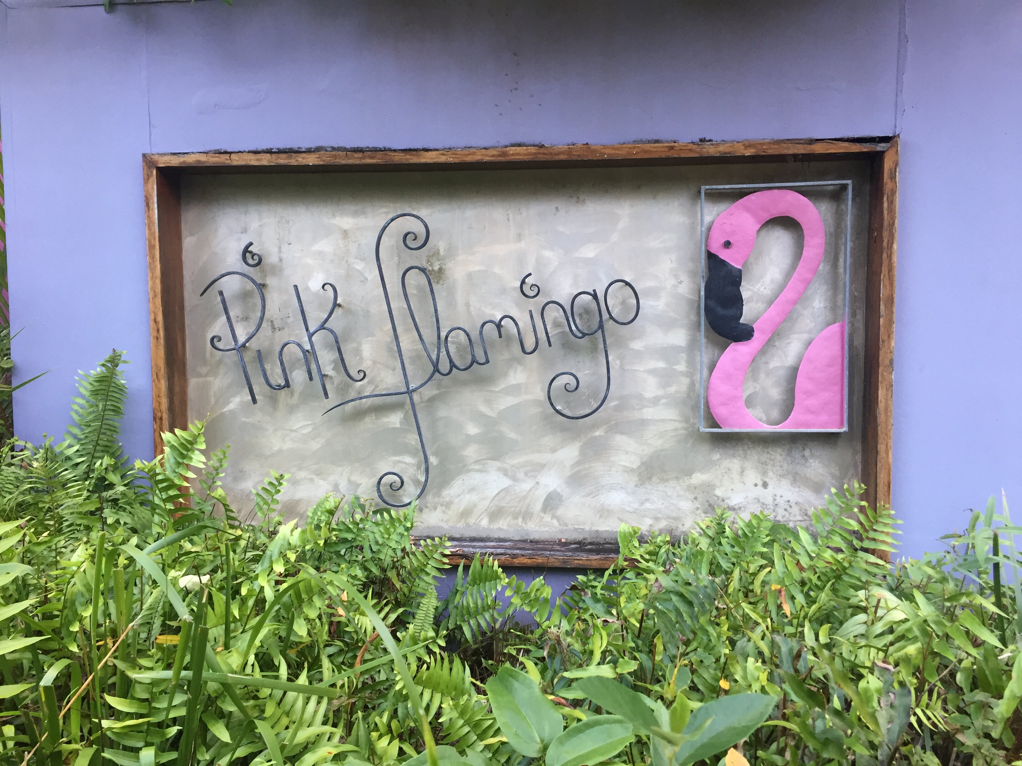 粉红火烈鸟度假酒店-官方