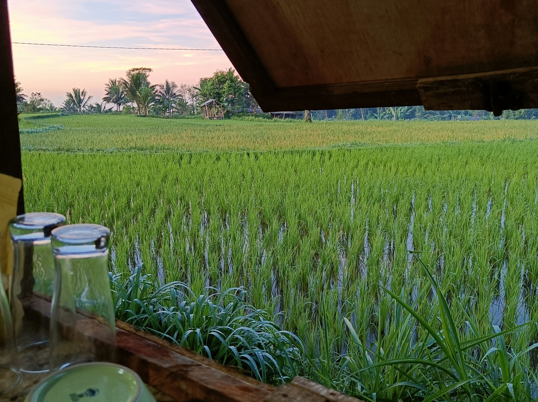 Jaya Tetebatu Tour Guide-Tetebatu必去景点