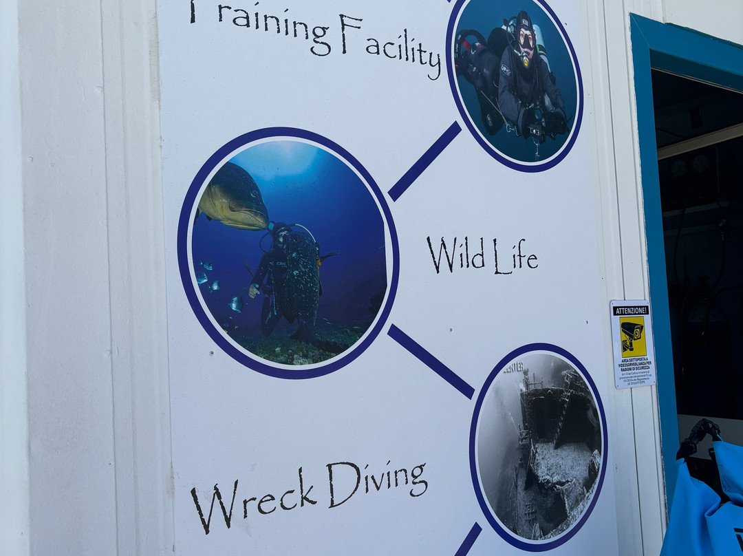 Blu Dive Center-圣特雷莎加卢拉必去景点