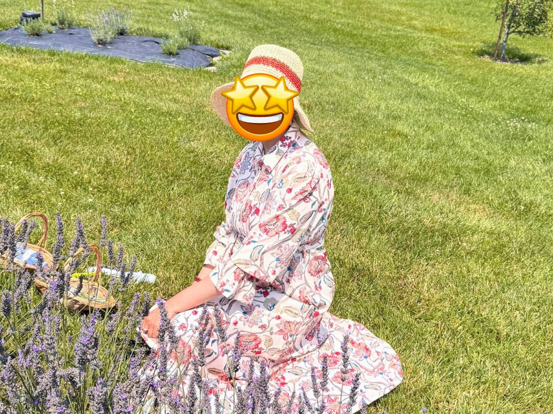 Purple Haven Lavender Farm-Haldimand必去景点