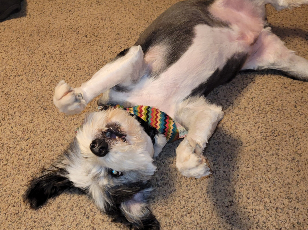 Terrace Park Inn主图