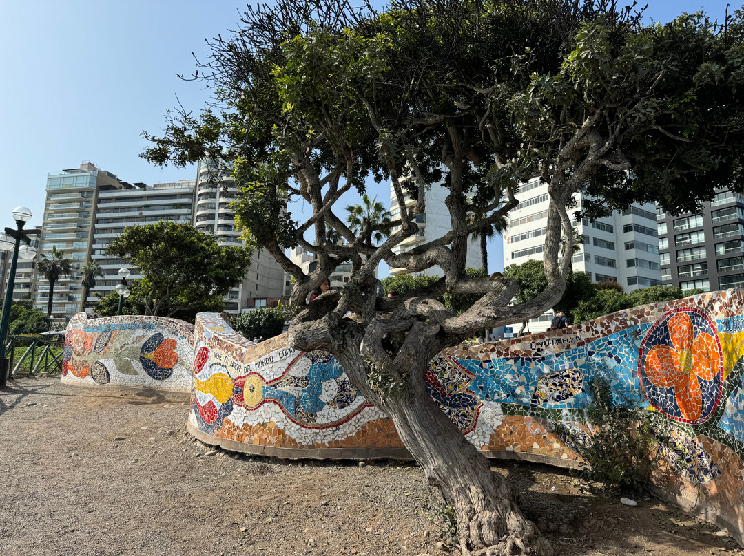 Lima Highlights Tours-利马必去景点