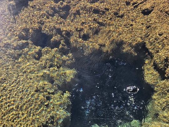 Talaroo Hot Springs-Mount Surprise必去景点