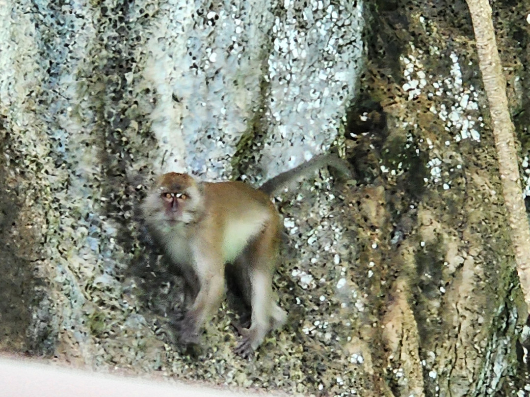 Taxi And Boat Tour By Aom-芭东海滩必去景点