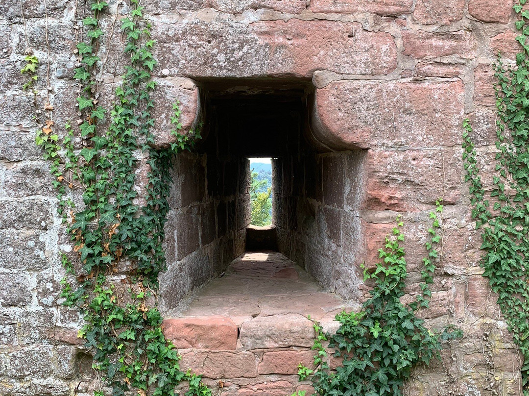 Burgruine Lindelbrunn-Vorderweidenthal必去景点