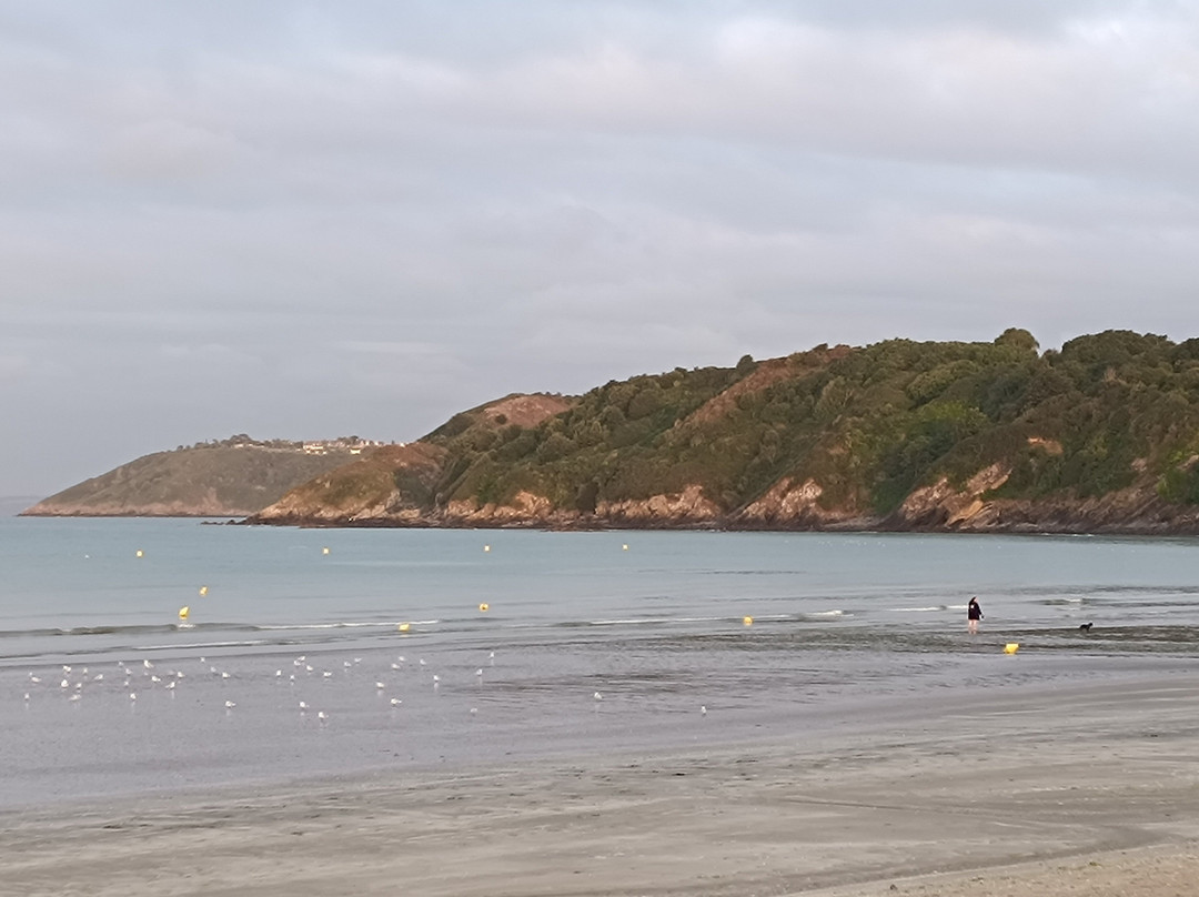 瓦孔希俱乐部比尼奇酒店主图