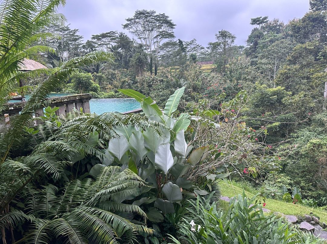 芭雅德别墅酒店主图