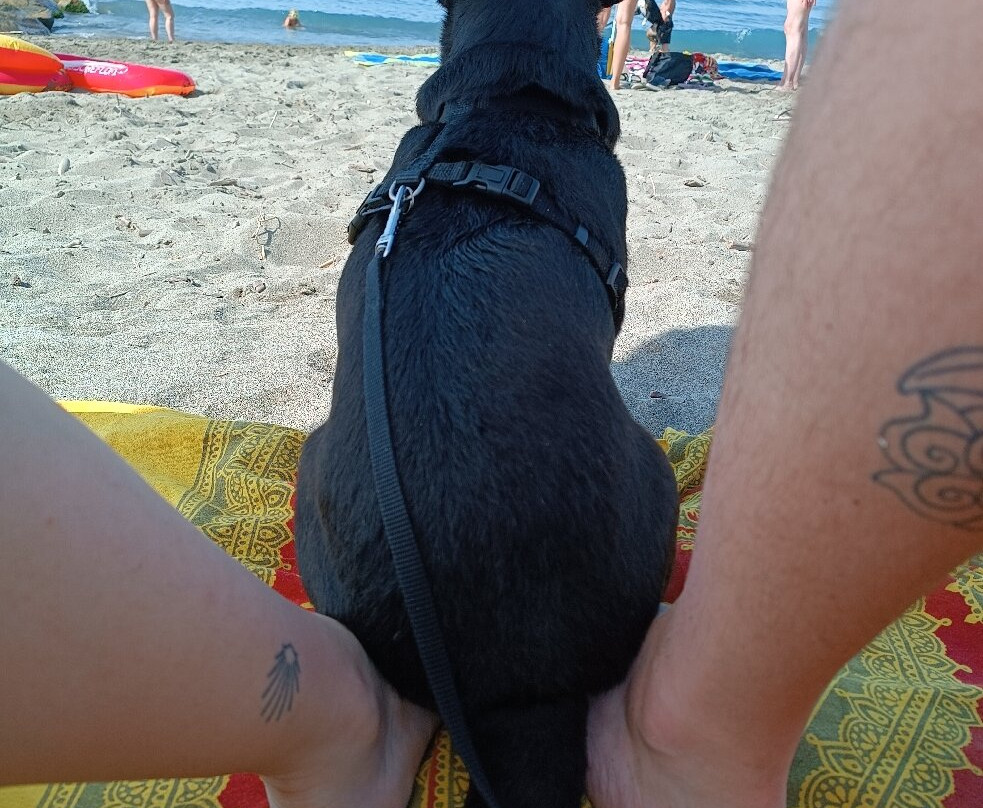 Bau Bau Beach景点图片